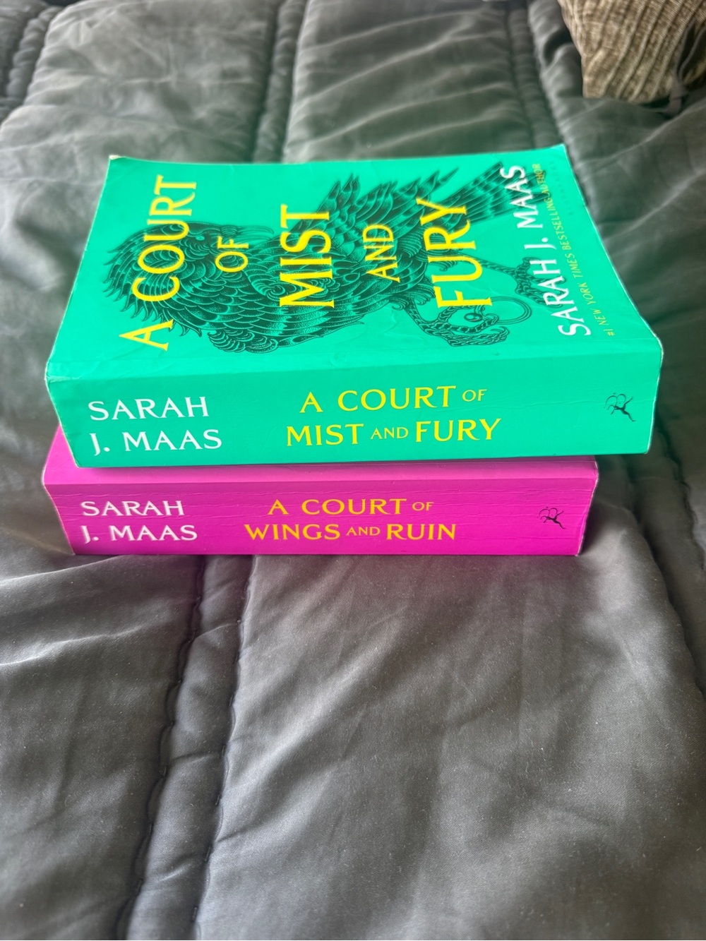 Sarah J. Maas Court of Wings / Mist and Fury Set